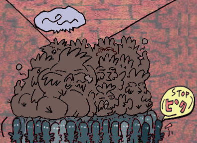 ...................(stop!!!!)