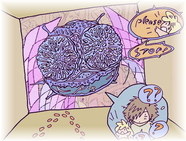 What did Gou find?�@�K�E�͉�����������