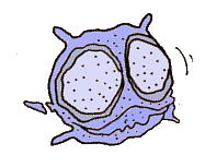 parody �N���b�N����ƃp���G�ɂƂ�